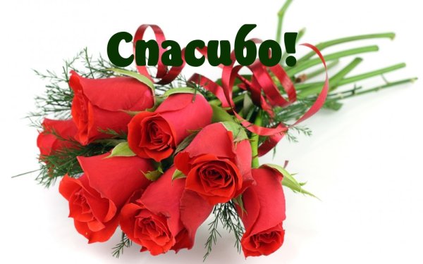 Спасибо девочки за поздравления