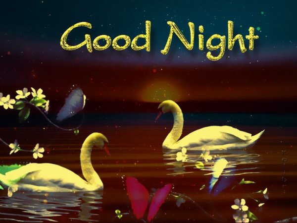 Good Night анимация