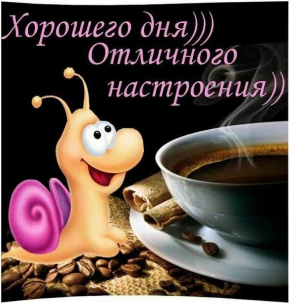 Хорошего дня и отличного нас