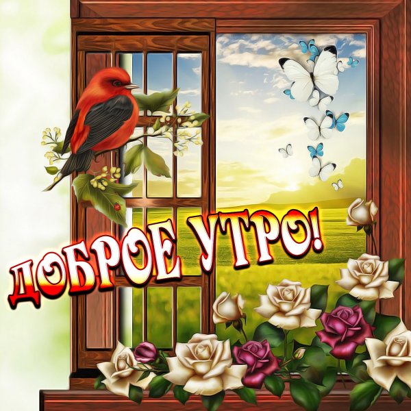 Открытки доброе утро