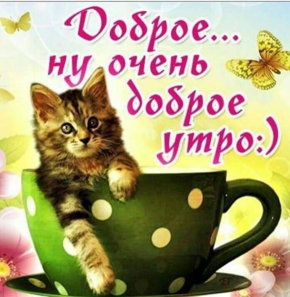 Открытки с добрым утром красивые