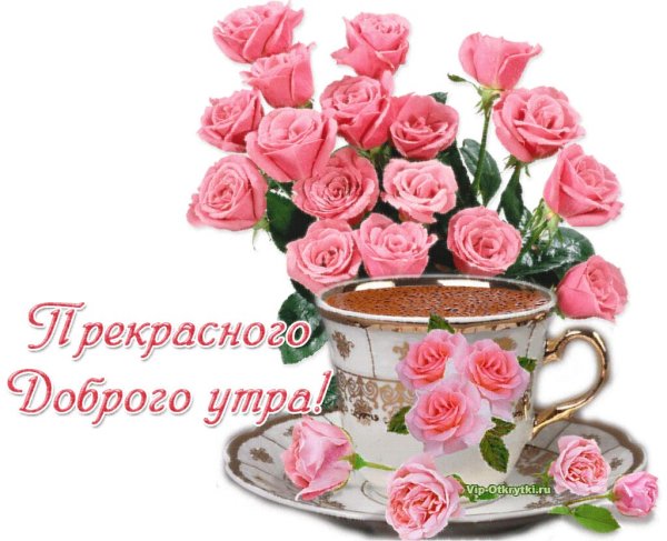 Открытки привет с добрым утром