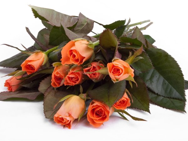 Букет цветов