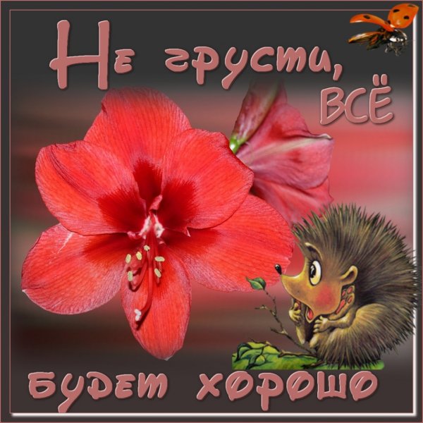 Открытка "не грусти!"