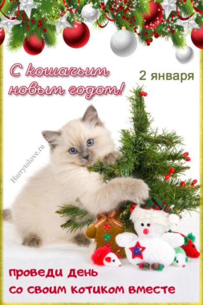Со вторым января открытки