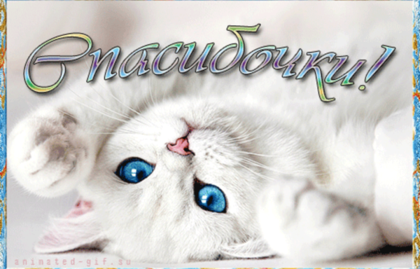 Открытки с благодарностью спасибо