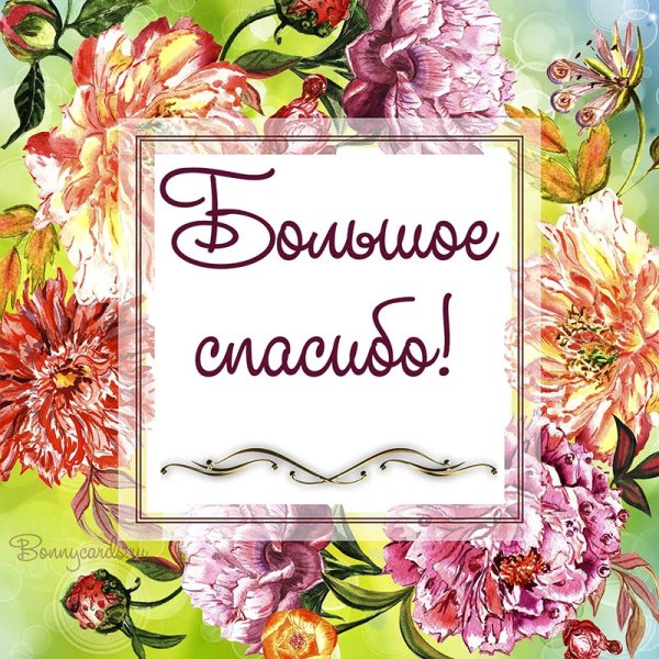 Красивые открытки с благодарностью