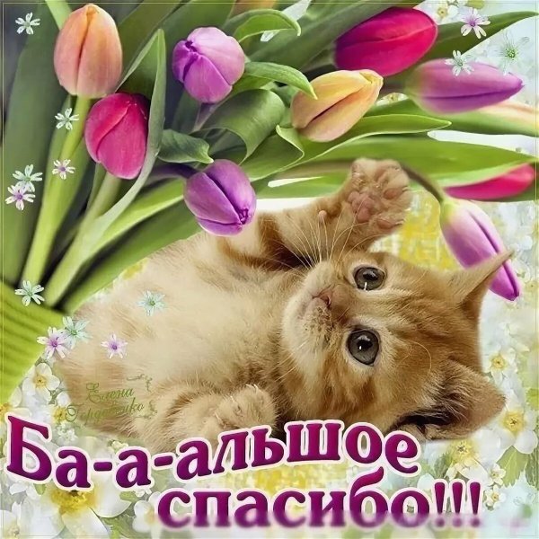 Спасибо от души