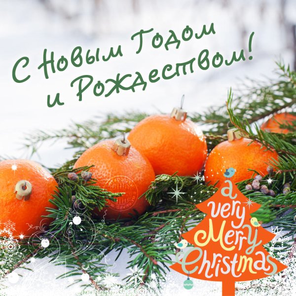 Новогодняя открытка с мандаринами