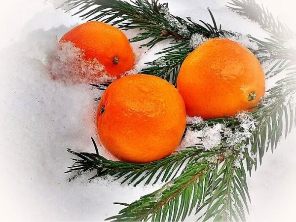 Мандарины новый год