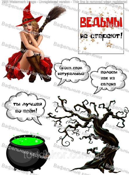 Ведьмы не стареют картинка