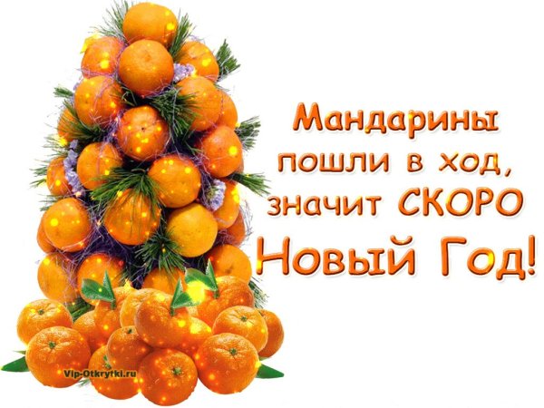 Новогодний мандарин.
