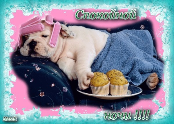 Позитивные открытки на ночь