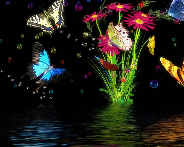 Анимация цветы и бабочки