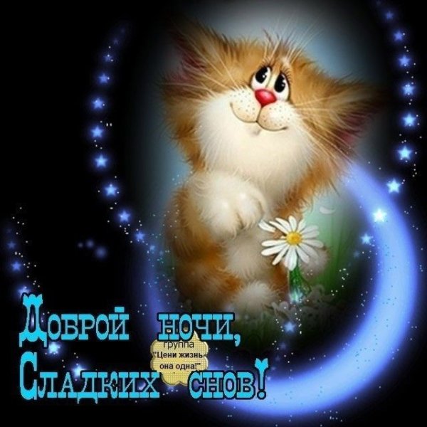 Добрый вечер и спокойной ночи Пушистик