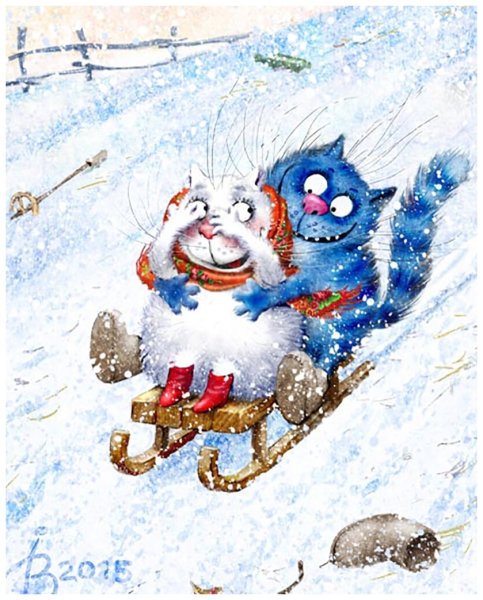 Коты Ирины Зенюк