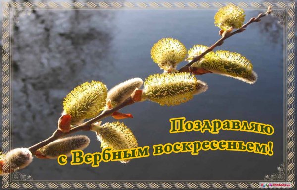 С Вербным воскресеньем