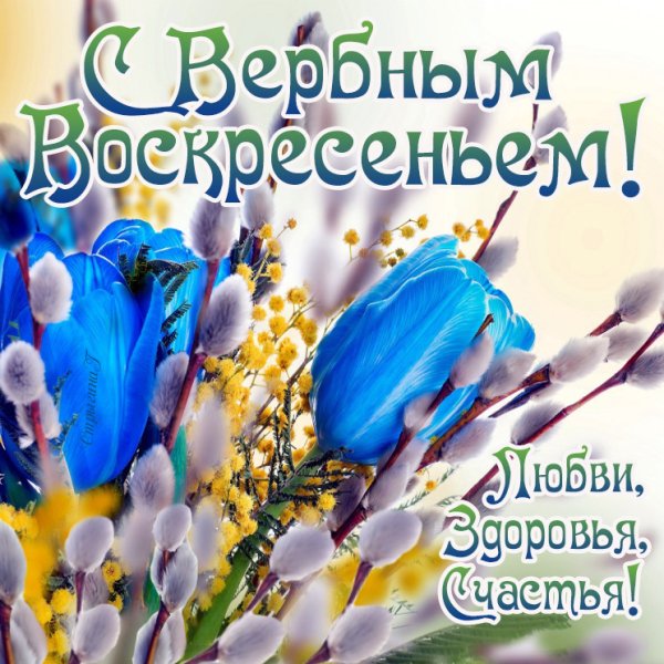 Вербное воскресенье поздравления