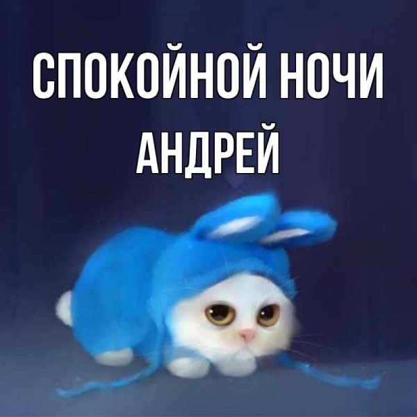 Спокойной ночи Андрей