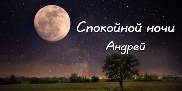 Спокойной ночи Лариса