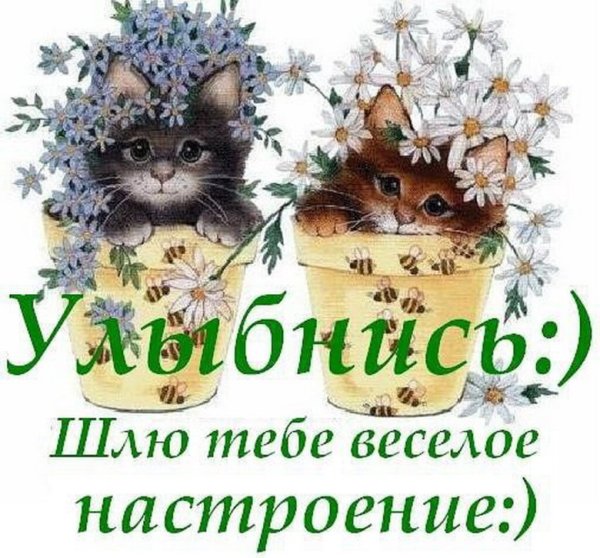 Открытки Веселые и добрые