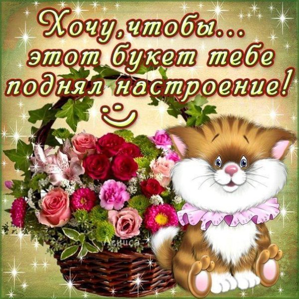 Открытки для любимой девушки для поднятия настроения