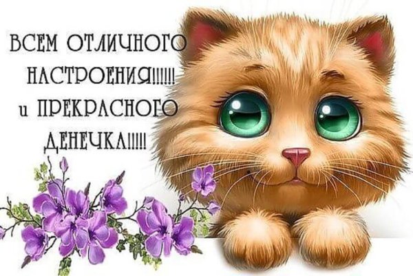 Открытки для настроения прикольные