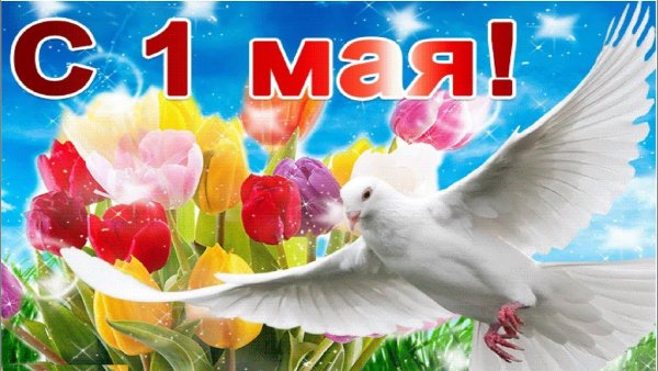 С первым мая поздравление