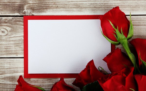 Красивый фон для поздравления