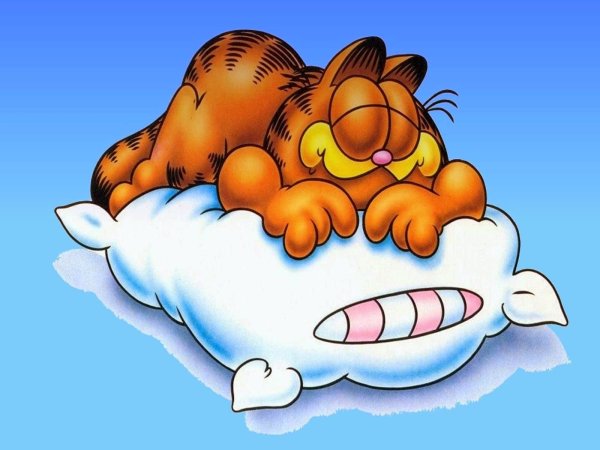 Мультяшка спит