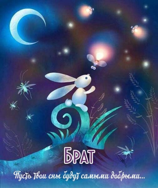 Сказочная ночь