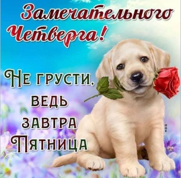 Поздравление с четвергом