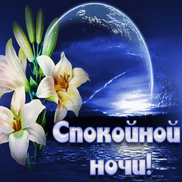 Поздравления спокойной ночи с цветами
