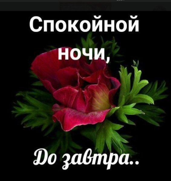 Спокойной ночи до завтра