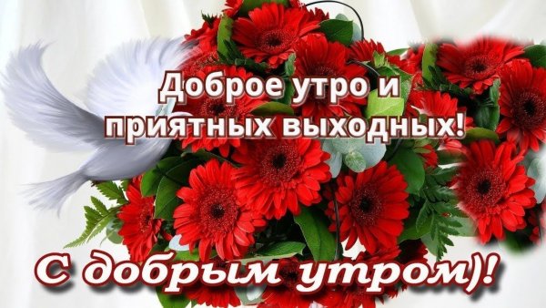 Доброе утро хороших выходных