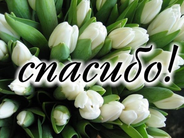 Спасибо за помощь