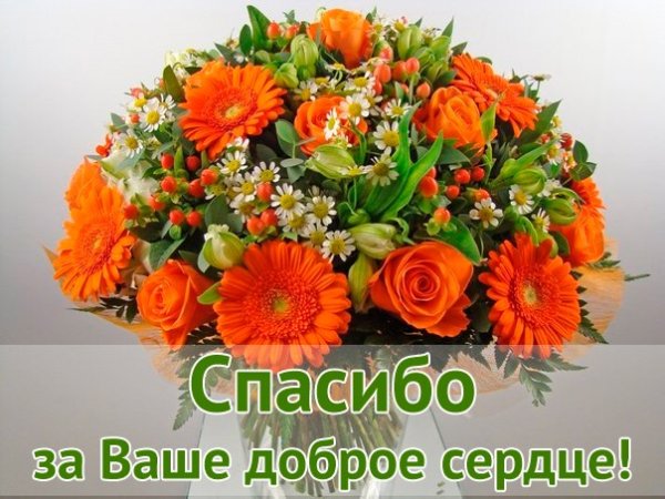 Спасибо за помощь