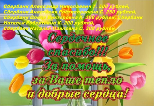 Спасибо за понимание