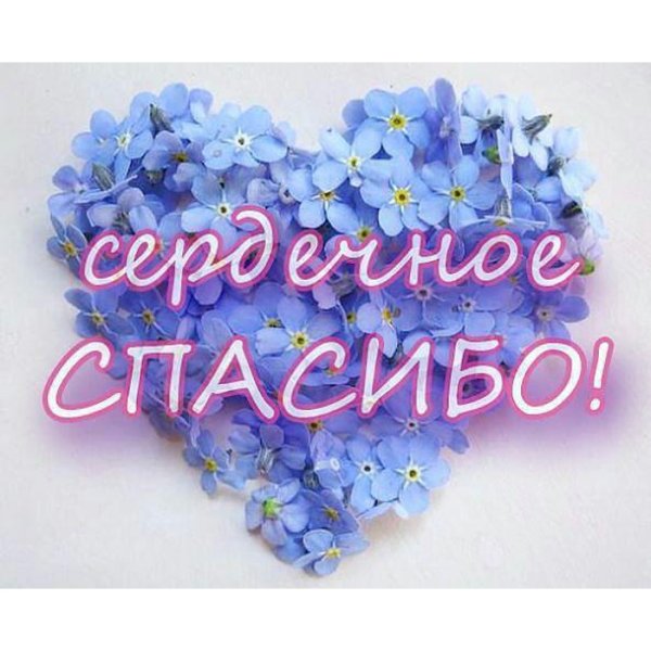 Спасибо за поддержку