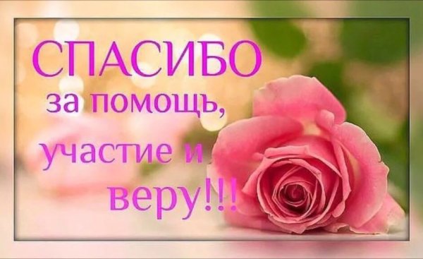 Спасибо за помощь