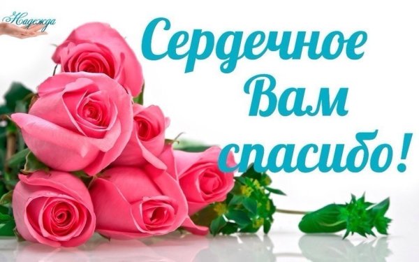 Спасибо всем кто помогает