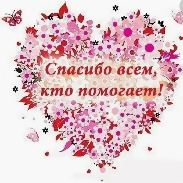 Спасибо за поддержку