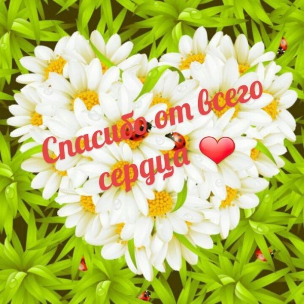Сердечное спасибо