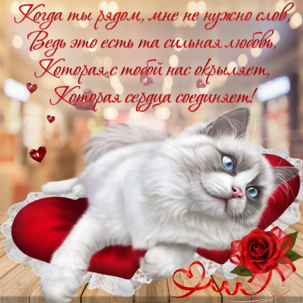 Открытки для любимого мужчины