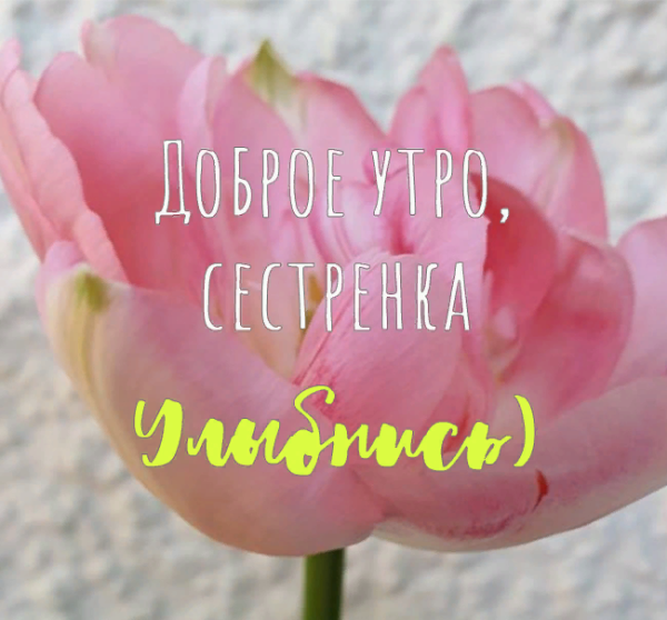 Доброе утро сестренка