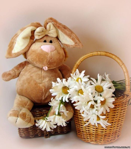 Мягкие игрушки с добрым утром