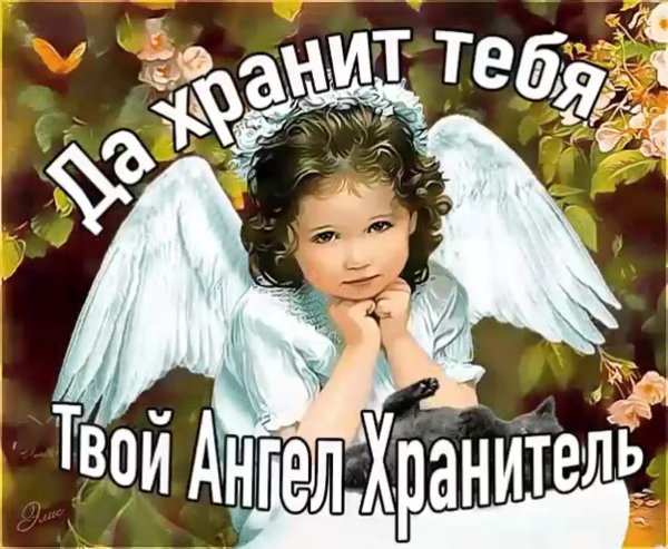 Пожелания ангела хранителя