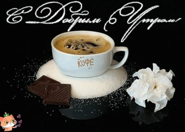 Открытки с добрым утром му