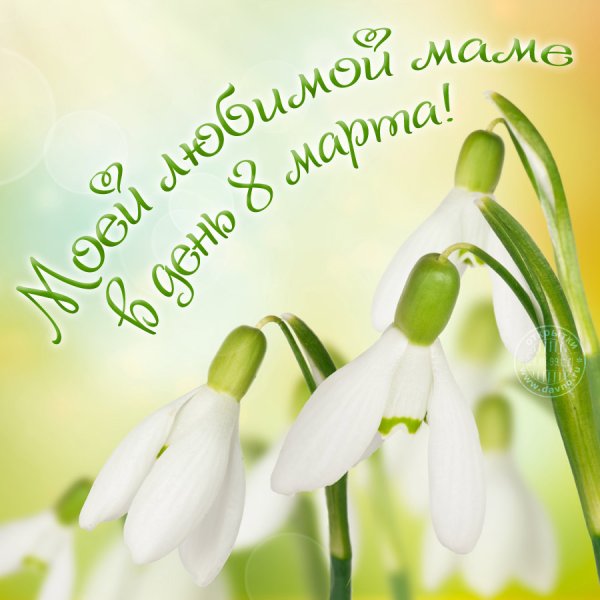 С первым днем весны