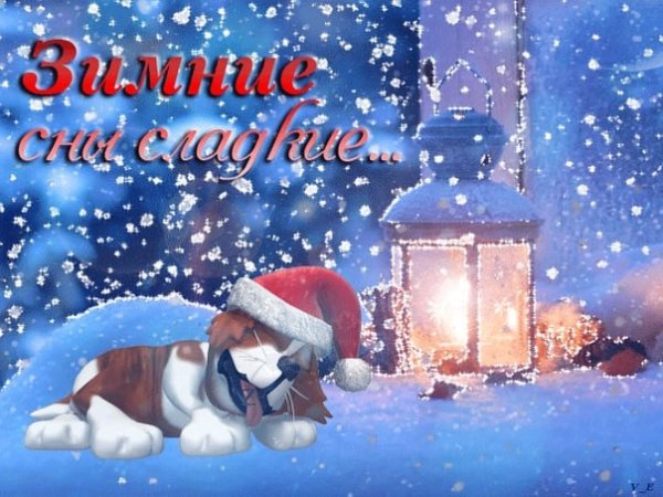 Спокойной новогодней ночи